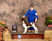 Brittany #5 Sat BOB Judge Tim Catterson