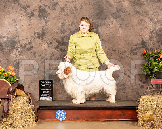 Clumber Spaniel #5 Sat G4 Judge Peggy Biesel McIlwaine_MMJ_0935_NWAKC21-HR3