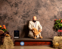 Poodle Toy #10 Sat BOS Judge Tim Catterson