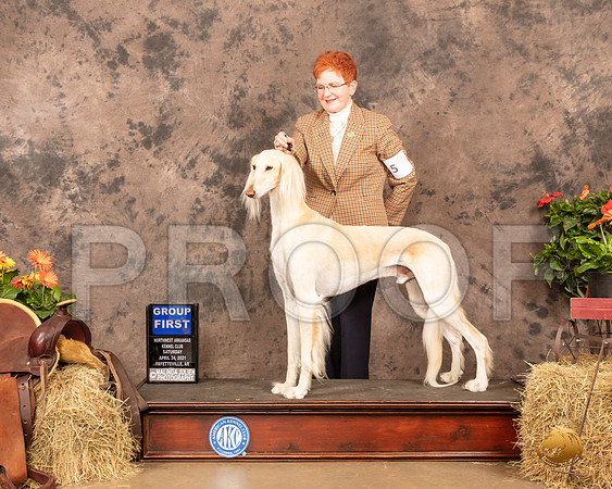 Saluki #5 Sat G1 Judge Tim Catterson_MMJ_0942_NWAKC21-HR3