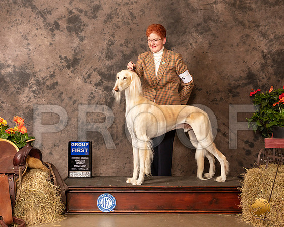 Saluki #5 Sat G1 Judge Tim Catterson_MMJ_0943_NWAKC21-HR3