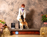 Shiba Inu #5 Sat BOB Judge Dr Troy Clifford Durgin