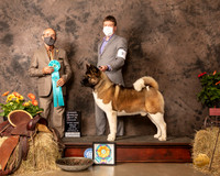 Akita #9 Sat OHBIS Judge Tim Catterson