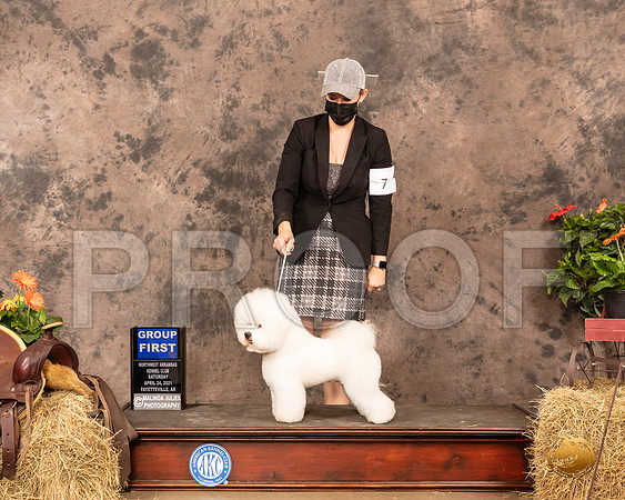 Bichon Frise #7 Sat G1 Judge Tim Catterson_MMJ_1098_NWAKC21-HR3