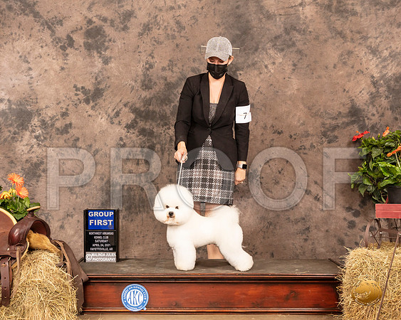 Bichon Frise #7 Sat G1 Judge Tim Catterson_MMJ_1101_NWAKC21-HR3