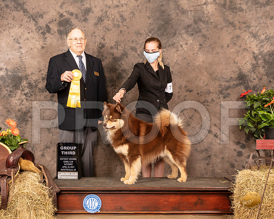 Finnish Lapphund #7 Sat G3 Judge Dr Donald Gill_MMJ_1037_NWAKC21-HR3