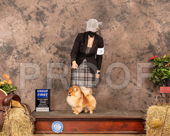 Pomeranian #5 Sat G1 Judge Tim Catterson_MMJ_1120_NWAKC21-HR3