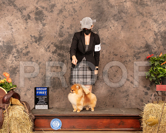 Pomeranian #5 Sat G1 Judge Tim Catterson_MMJ_1127_NWAKC21-HR3
