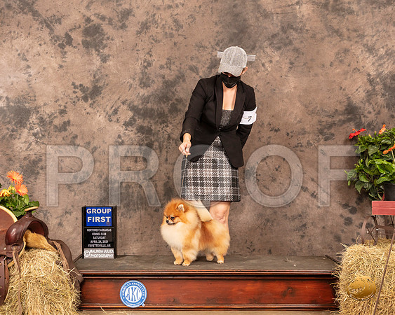 Pomeranian #5 Sat G1 Judge Tim Catterson_MMJ_1129_NWAKC21-HR3
