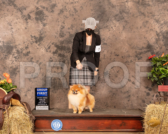 Pomeranian #5 Sat G1 Judge Tim Catterson_MMJ_1137_NWAKC21-HR3