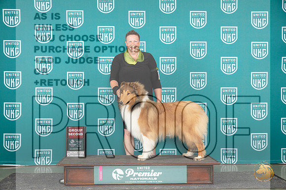 Rough Collie #402 Sun G2 Judge Carianna Glenn__JP_3383_Premier_2024_HR3