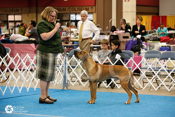 RHOD-0291-FWMar14-HR