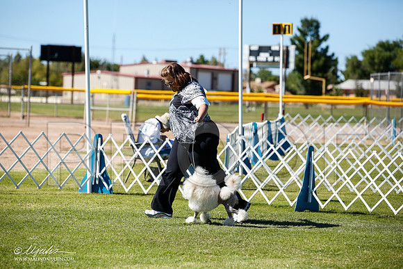 _JN_9409-AlamogordoOct2014-HR3
