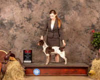 Brittany #6 Sun BOS Judge Peggy Biesel McIlwaine