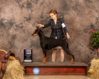 Doberman Pinscher #18 Sun WB Judge John Schoeneman