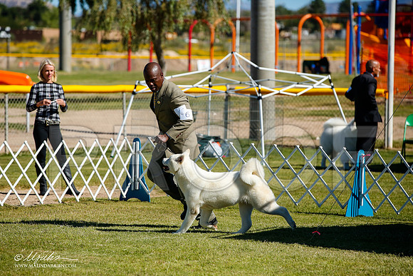 _JJ_9873-AlamogordoOct2014-HR3
