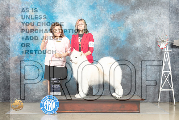 Samoyed #12 Sun G4 Judge Joan Liebes_MJ_4999_Amarillo_2022_HR3