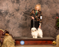 Havanese #10 Sun BOB Maj Judge Dr Troy Clifford Durgin