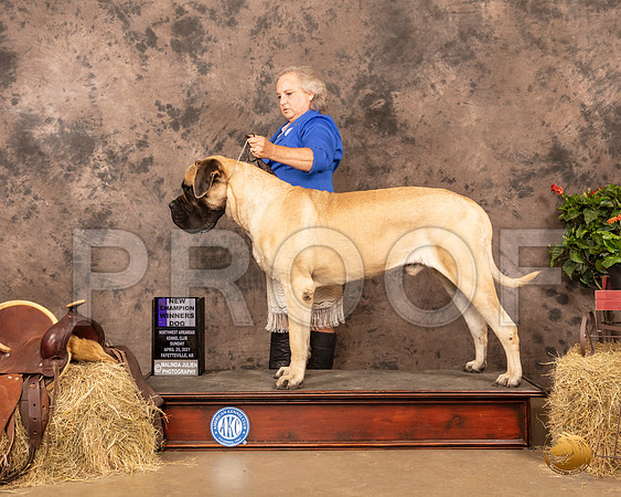 Mastiff #5 Sun WD Judge John Schoeneman_MMJ_1422_NWAKC21-HR3