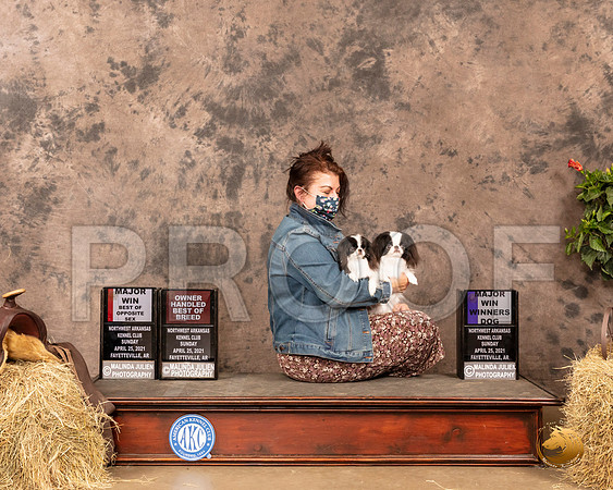 Japanese Chin #7 #16 Sun WD Maj BOS Judge Dr Troy Clifford Dargin_MMJ_1429_NWAKC21-HR3