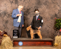 Lakeland #J25 Sun BJr Judge Dr Donald Gill