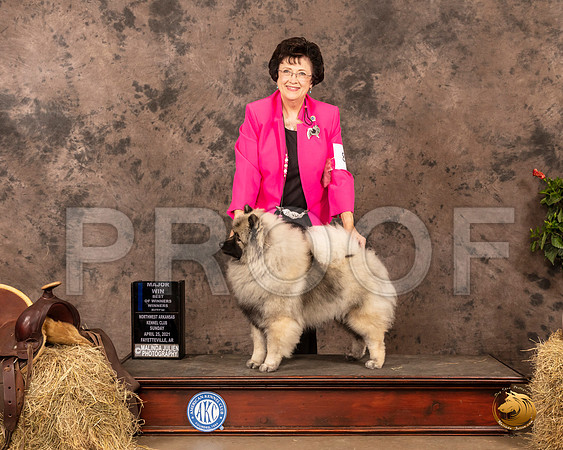 Keeshond #8 Sun BOW Maj Judge Tim Catterson_MMJ_1459_NWAKC21-HR3