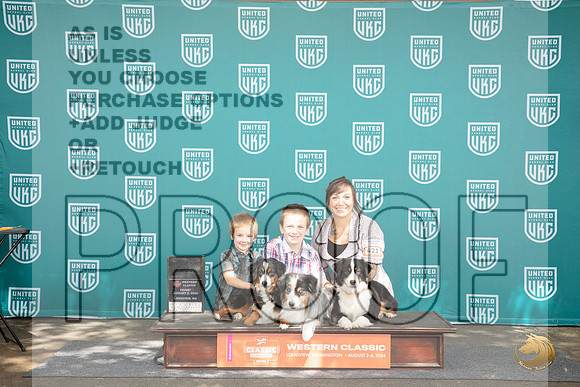 Miniature American Shepherd Family Photo Fri __JP_1103_Longview WA_2024_HR3
