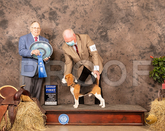 Beagle 13 #11 Sun G1 Judge Dr Donald Gill_MMJ_1502_NWAKC21-HR3