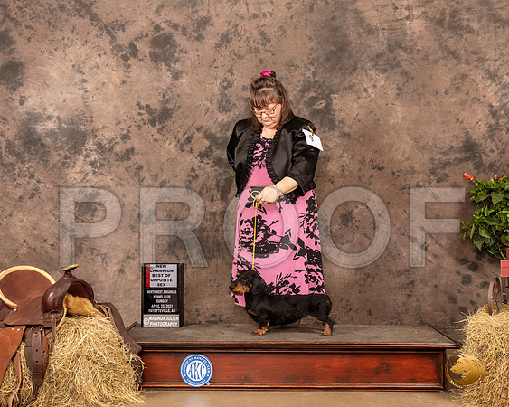 Dachshund Wire #25 Sun BOS Judge Tim Catterson_MMJ_1524_NWAKC21-HR3