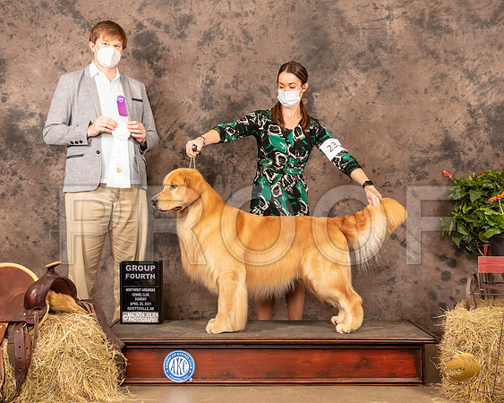 Golden Retriever #23 Sun G4 Judge Dr Troy Clifford Drugin_MMJ_1485_NWAKC21-HR3
