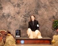 Lhasa Apso #5 Sun BOB Judge Tim Catterson