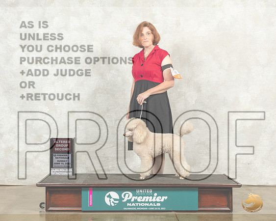 Poodle Miniature #688 Sun AG2 Judge Sandra Kowalski__MJ_9476_Premier_2022_HR3