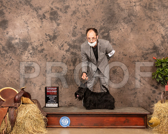Scottish Terrier #20 Sun G2 Judge Dr Troy Clifford Durgin_MMJ_1531_NWAKC21-HR3