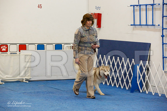 _M3_7967-AddisonHuskyMar2015-HR3