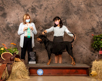 Black and Tan Coonhound #8 Sun OHG3 Judge Grace Fritz
