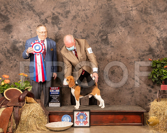 Beagle 15 #11 Sun BIS Judge Dr Donald Gill_MMJ_1640_NWAKC21-HR3