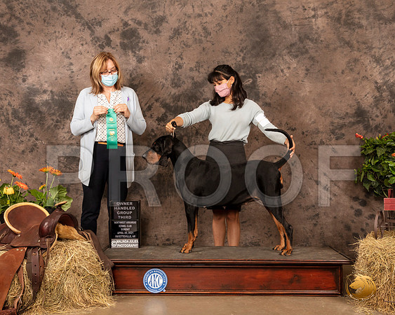 Black and Tan Coonhound #8 Sun OHG3 Judge Grace Fritz_MMJ_1586_NWAKC21-HR3