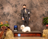 Coton #5 Sun G1 Judge John Schoeneman
