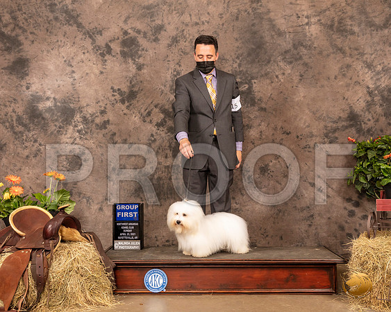 Coton #5 Sun G1 Judge John Schoeneman_MMJ_1668_NWAKC21-HR3