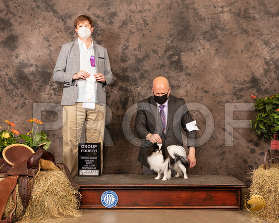Japanese Chin #21 Sun G4 Judge Dr Troy Clifford Durgin_MMJ_1572_NWAKC21-HR3
