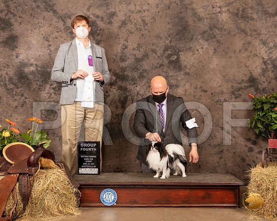 Japanese Chin #21 Sun G4 Judge Dr Troy Clifford Durgin_MMJ_1573_NWAKC21-HR3