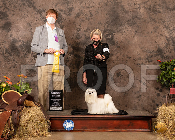 Maltese #5 Sun G3 Judge Dr Troy Clifford Durgin_MMJ_1576_NWAKC21-HR3