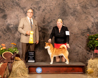 Shiba #7 Sun G3 Judge John Schoeneman