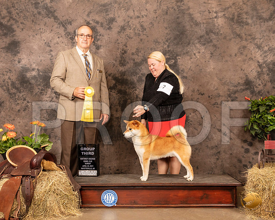 Shiba #7 Sun G3 Judge John Schoeneman_MMJ_1617_NWAKC21-HR3