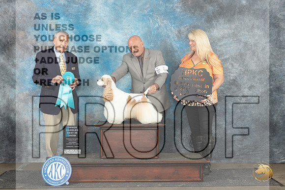 Cocker Spaniel Parti #5 Sat OHBIS Judge David Bolus__JP_3799_Lubbock_2024_HR3