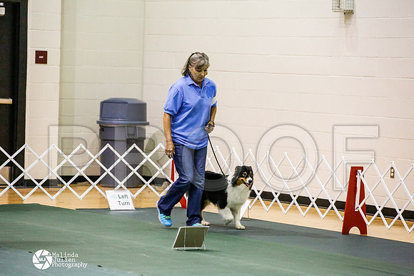 _JJ_5085-BsrCtyJun2014-HR3