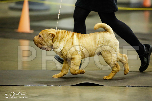 _JJ_5709-BeltonJan2015IABCA-HR3