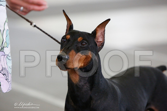 _JJ_1797-DallasJul2014-HR3