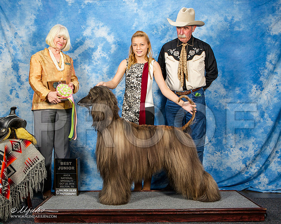 _ST_4558-AfgBeltonOct2014-HR3