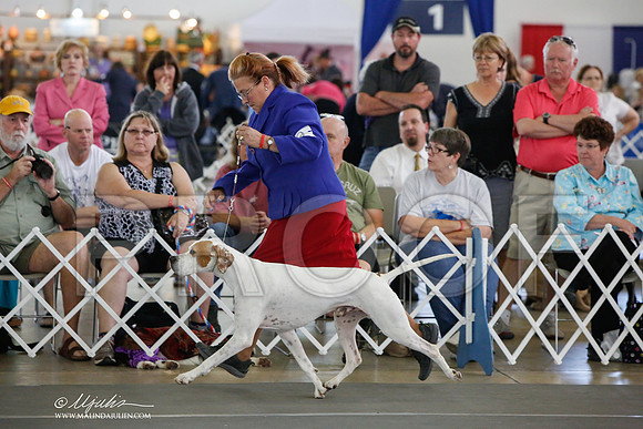_JJ_1505-DallasJul2014-HR3